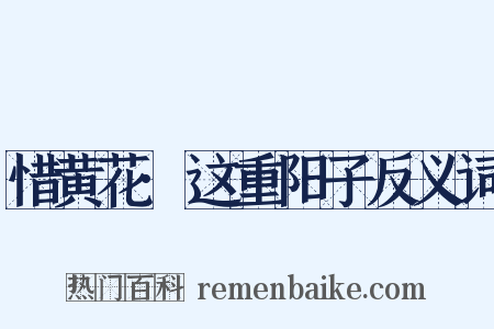 惜黄花·这重阳子反义词是什么意思的图片